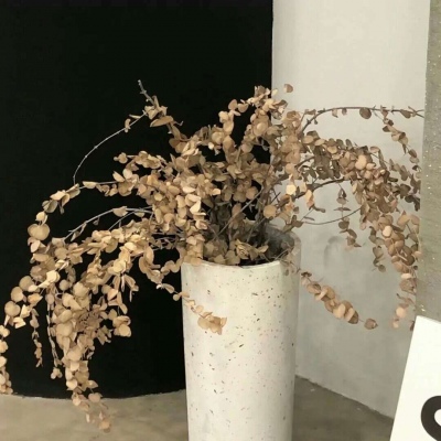 Furry插画笔刷运用FurryQQ群